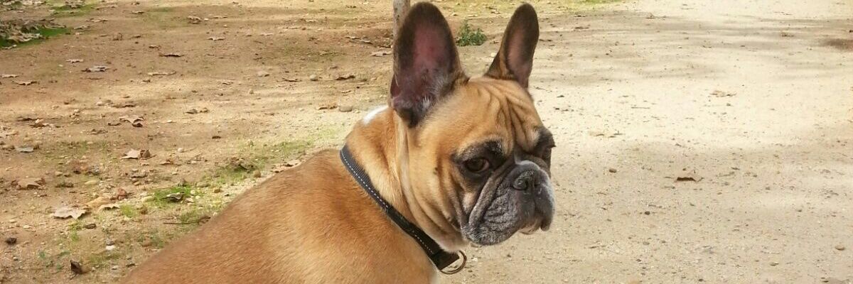 _jokun's profile banner image