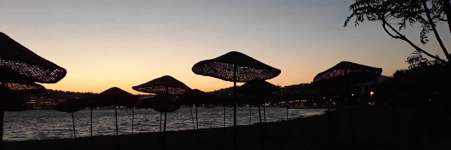 songiil's profile banner image