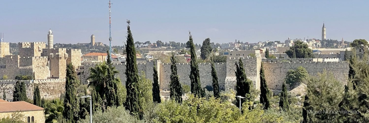 Miguel Muñoz Valeriano banner