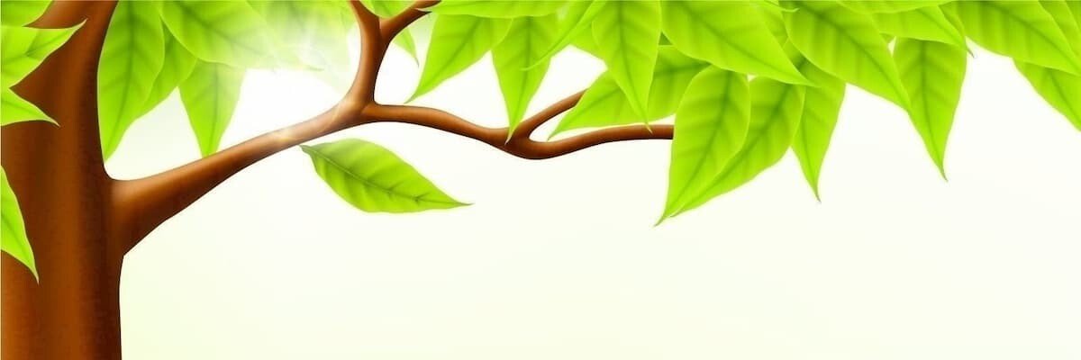 Prameea Yaramala banner