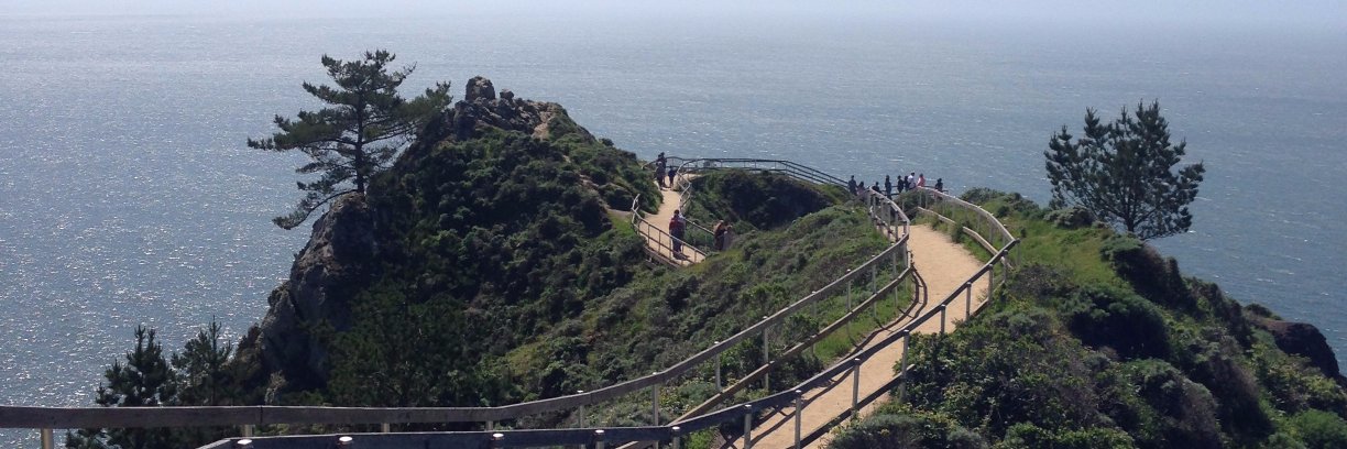 Claire Greene banner