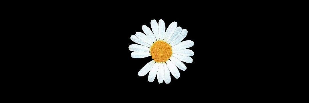 pyegoong_'s profile banner image