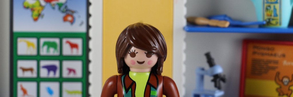 Playmobil (Adjunct) Professor banner