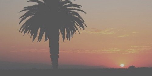 1DUpdatesBS's profile banner image