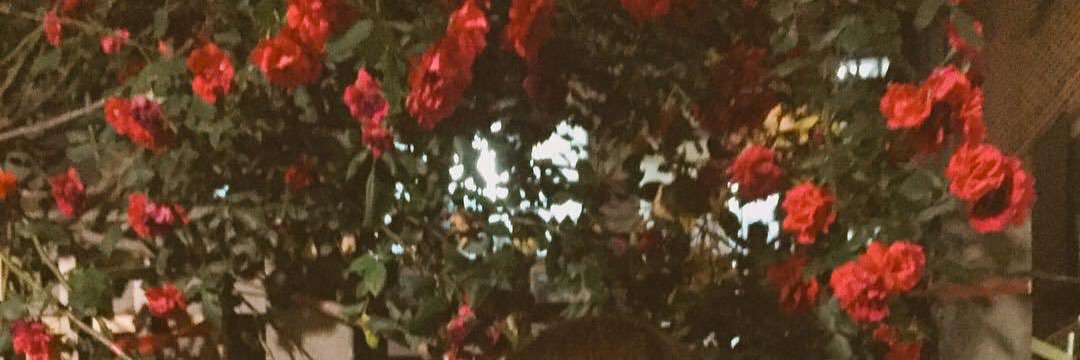 prdsyug's profile banner image