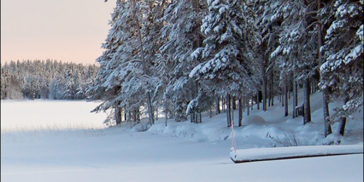TreThurmond's profile banner image