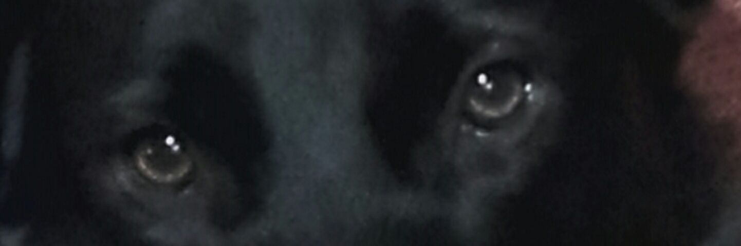 annasunn1's profile banner image