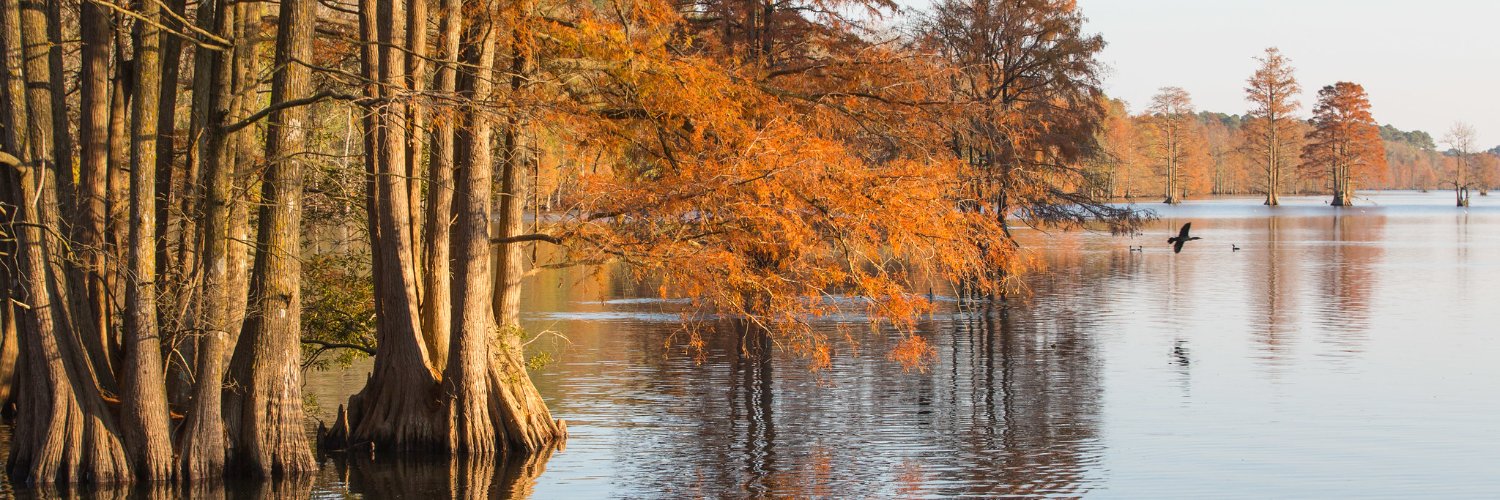 Virginia Beach Parks & Rec banner