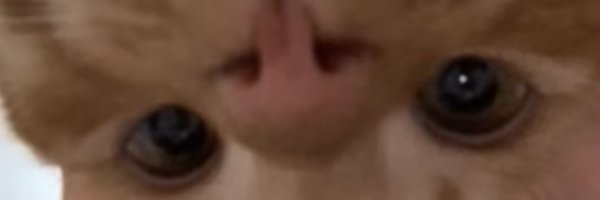 biantaiLL Profile Banner