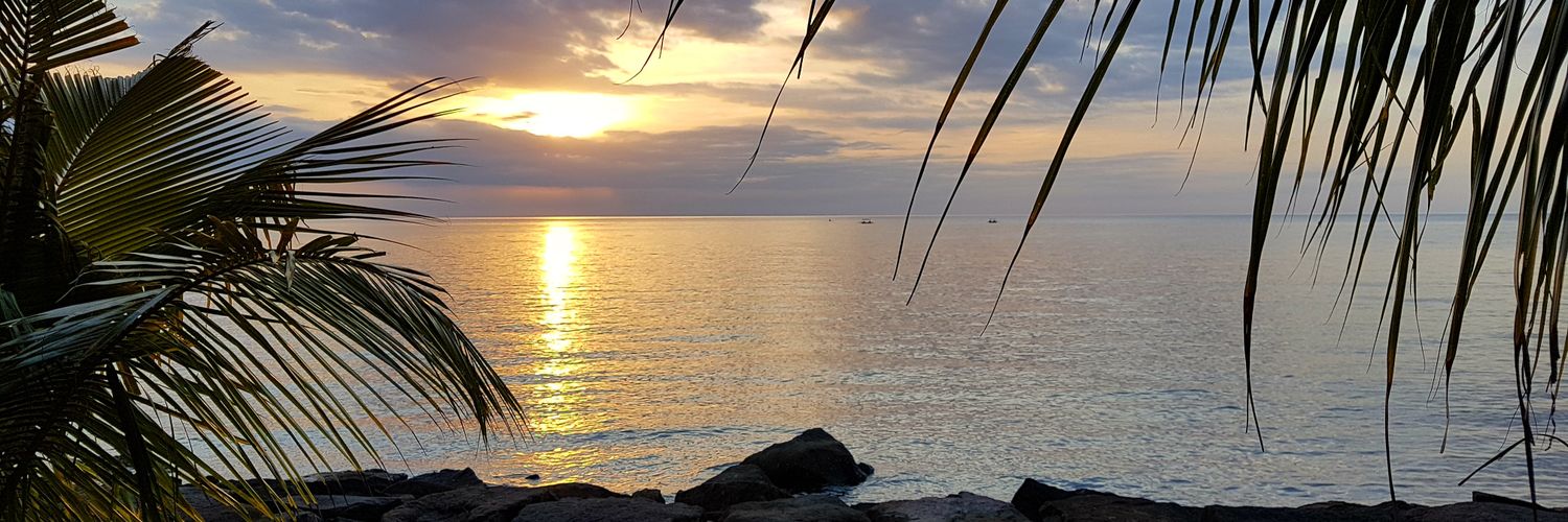 pimnederland's profile banner image