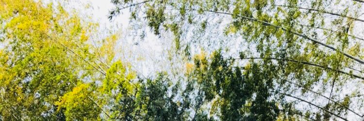 AcDz6d's profile banner image