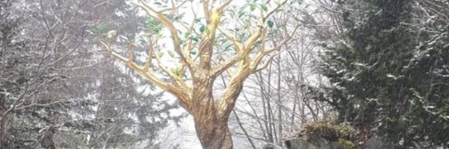 calder_t's profile banner image