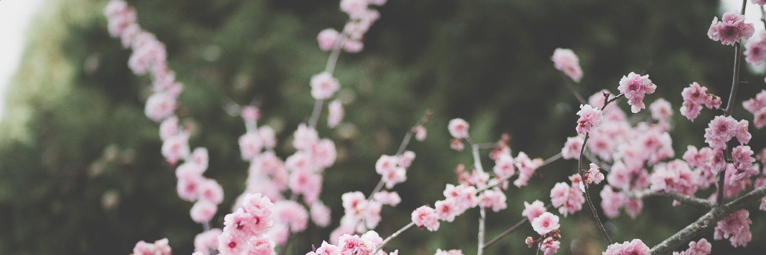 Mario Nelwan ❤️ Memecoin banner