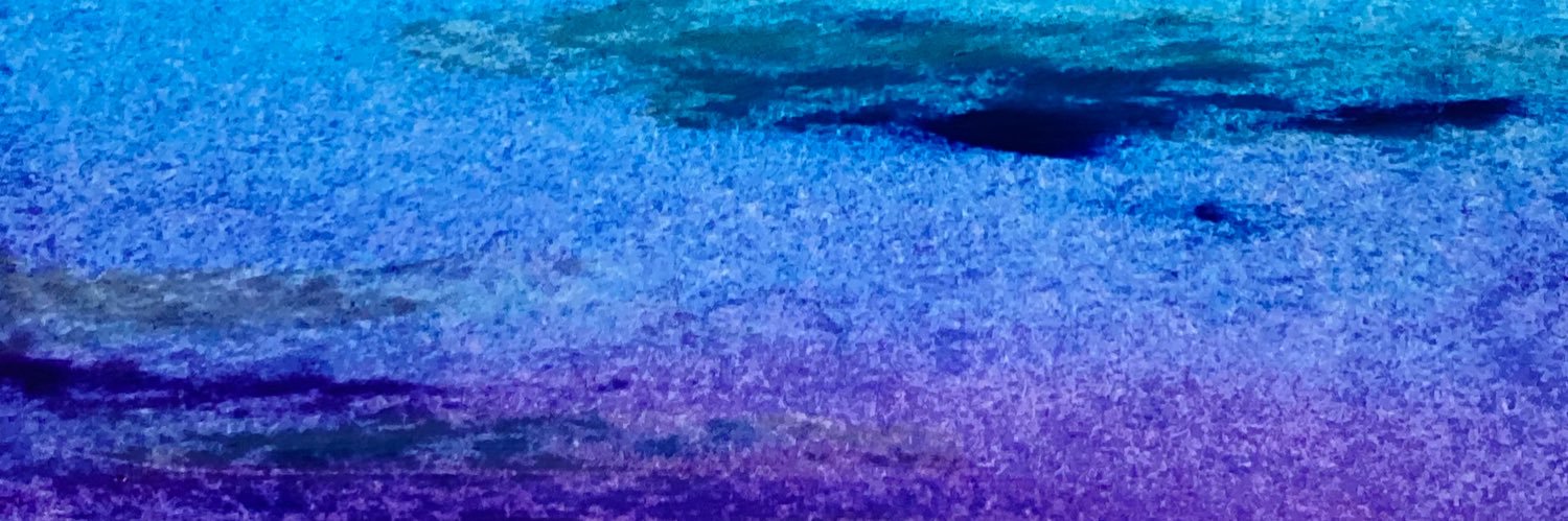 noppotan's profile banner image