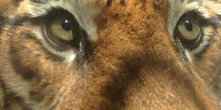 tomforrester2's profile banner image