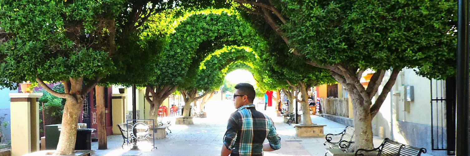El Paisa dgo banner