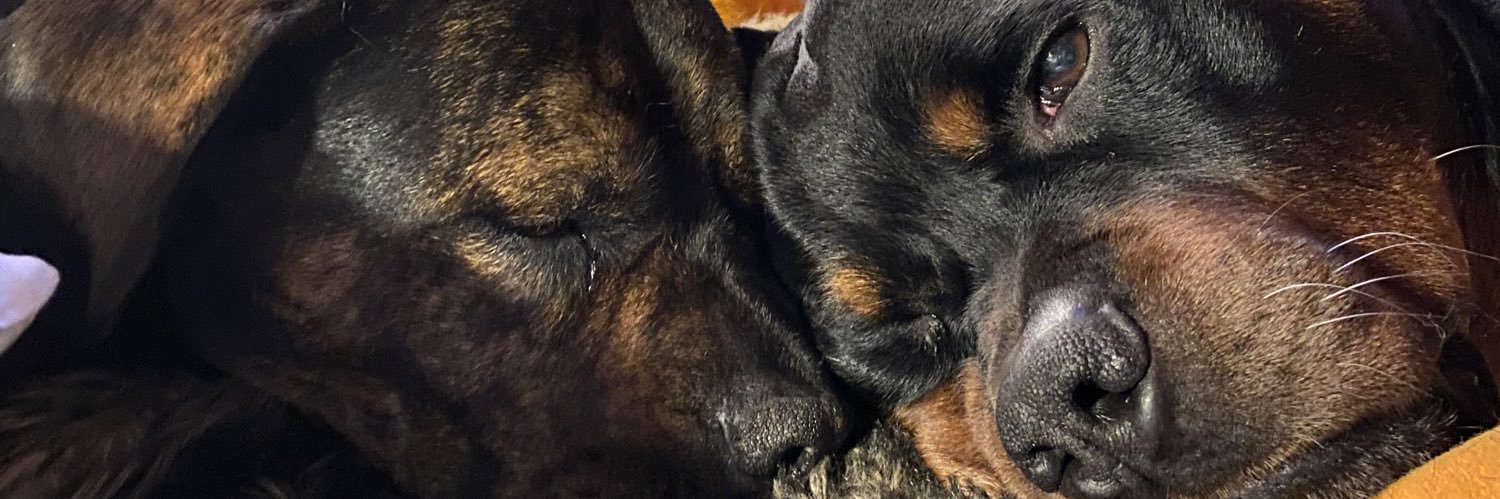JSAABFDH's profile banner image