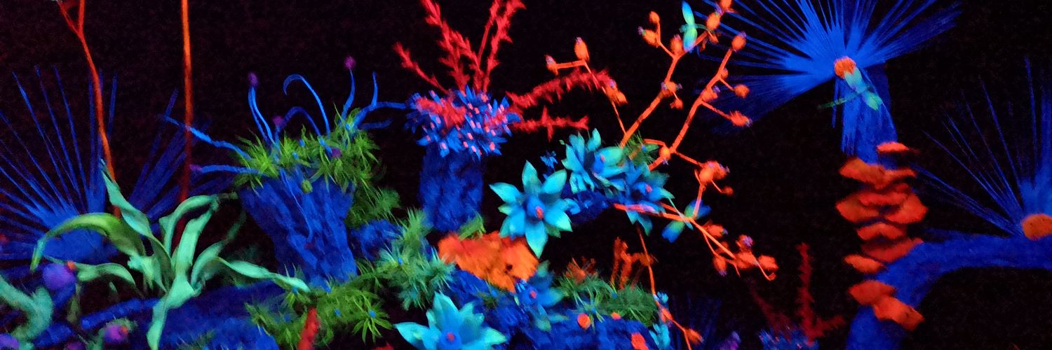 xagaal's profile banner image