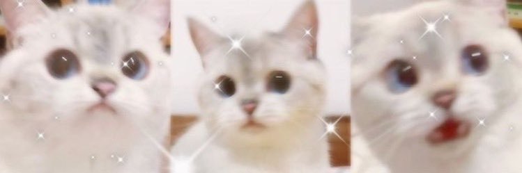 meltemcitken's profile banner image
