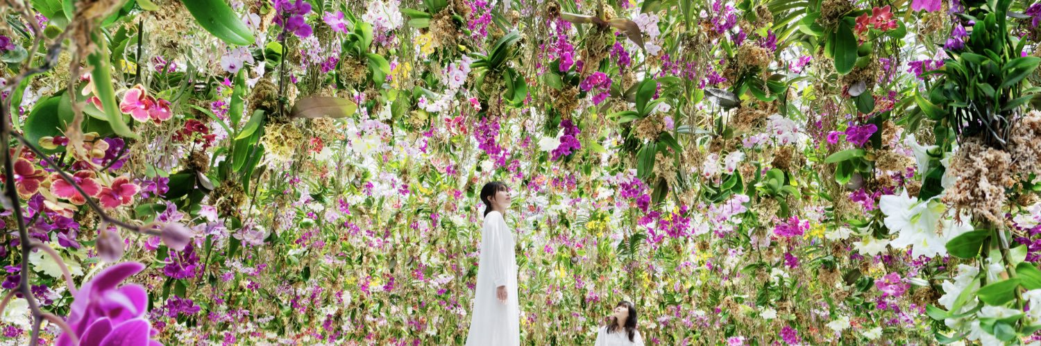 チームラボ プラネッツ teamLab Planets TOKYO banner