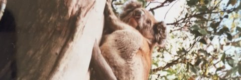 えむちん☆ banner