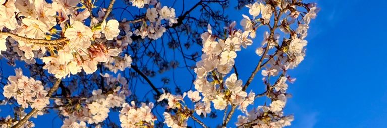 て banner