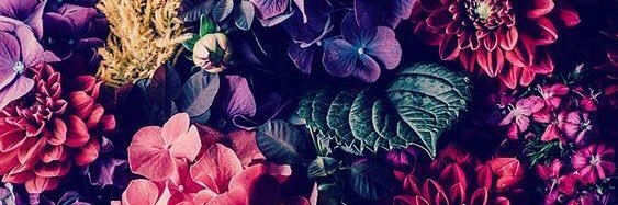 Lea_Brcq's profile banner image