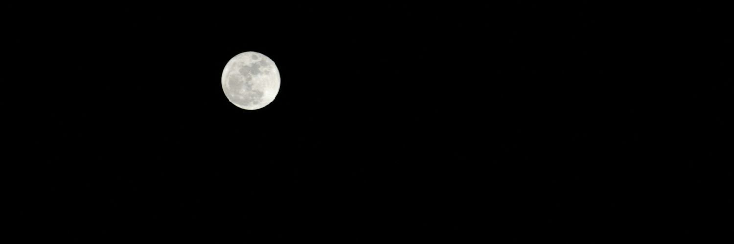 mnyn2001's profile banner image