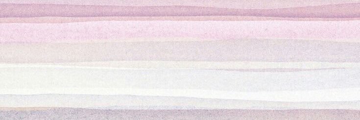 echipitta's profile banner image