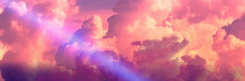 Petit Chaton banner