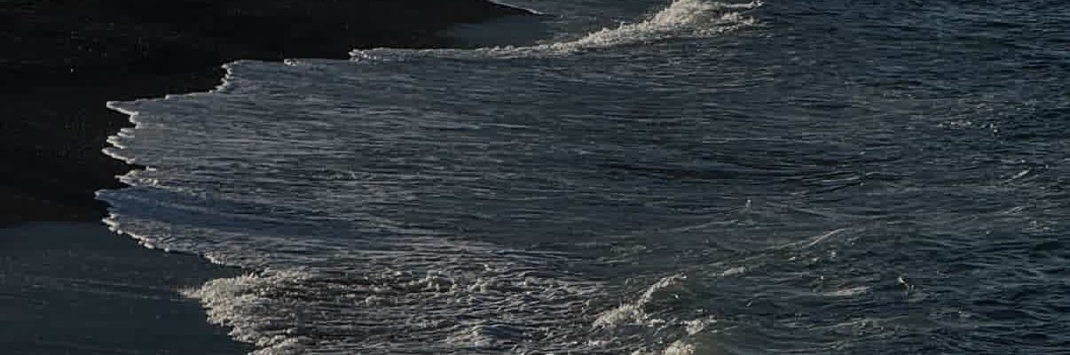 01___Sy's profile banner image