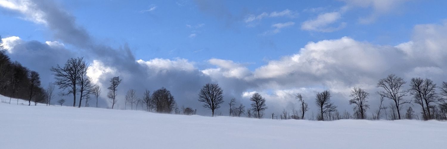 kai_schuhmann's profile banner image