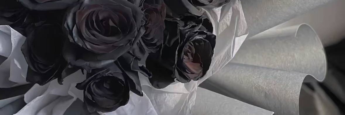 BennettVadim's profile banner image