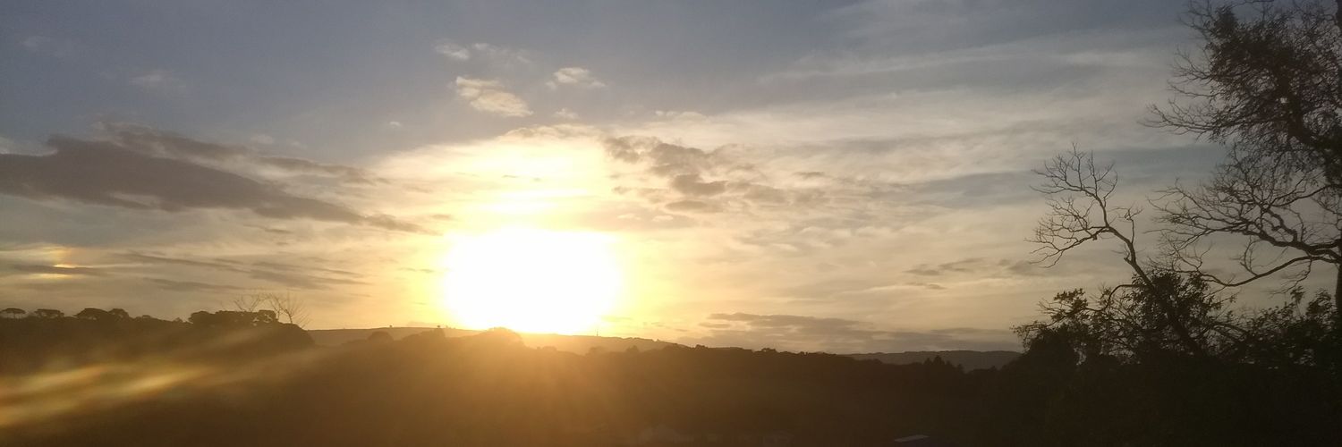 NeriMetal's profile banner image