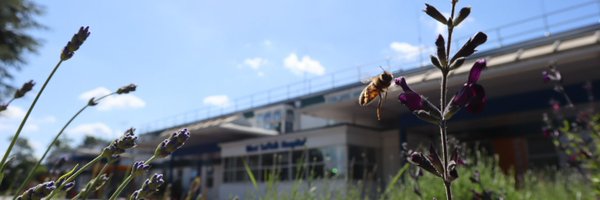 WSFTeducation Profile Banner