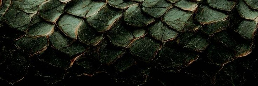 HERTZI0S's profile banner image