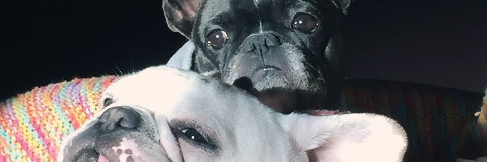 Goos7271's profile banner image