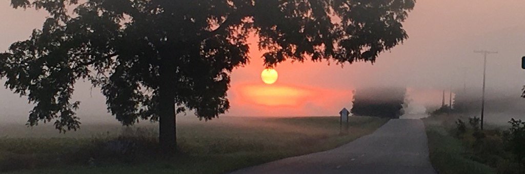 Layne Cameron banner