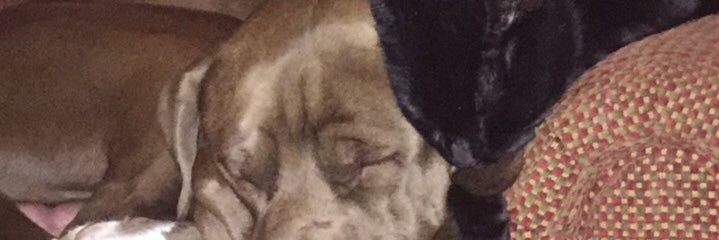 Sensitivesquish's profile banner image