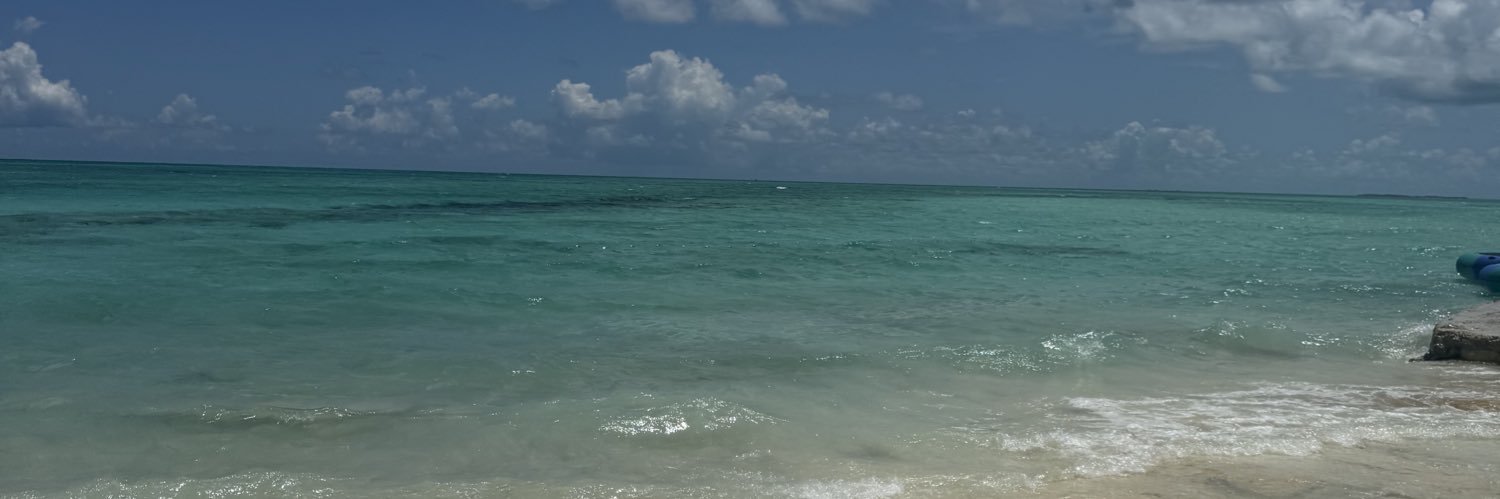 nikvzn's profile banner image