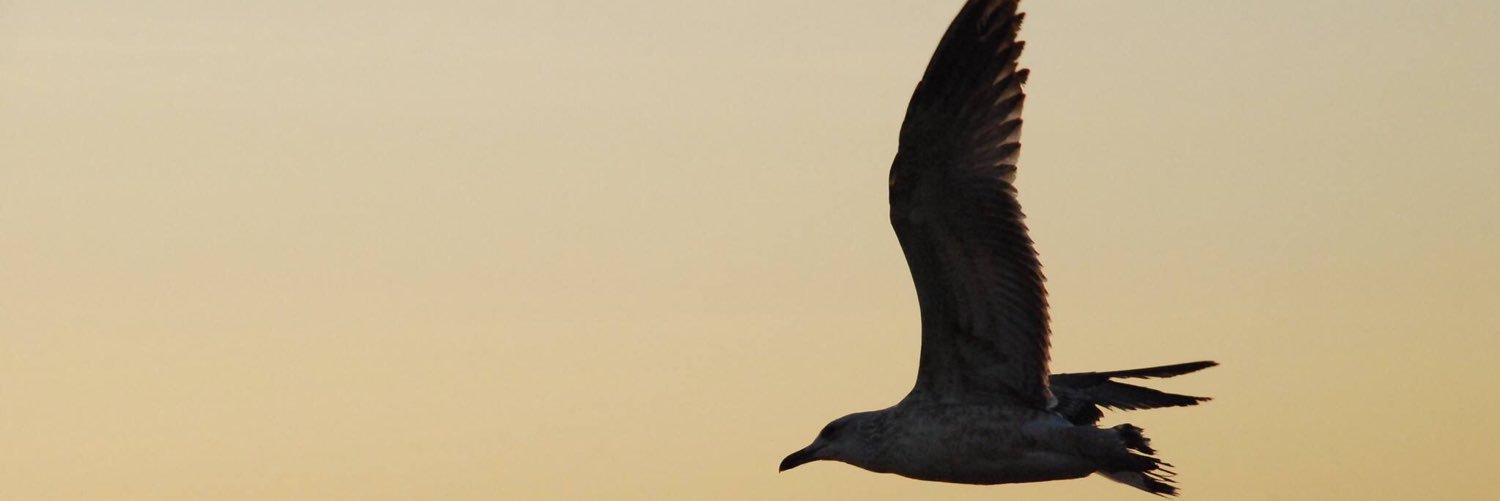 BertaFormatger's profile banner image