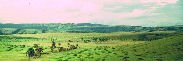 M_R_Pacha Profile Banner