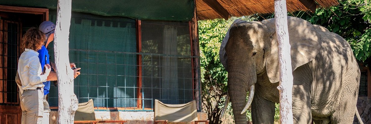 AbsoluteZambia's profile banner image