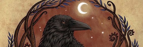 Cuervohechicero's profile banner image