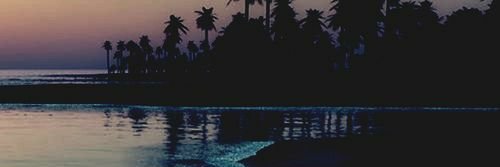 Mayarazevedos's profile banner image