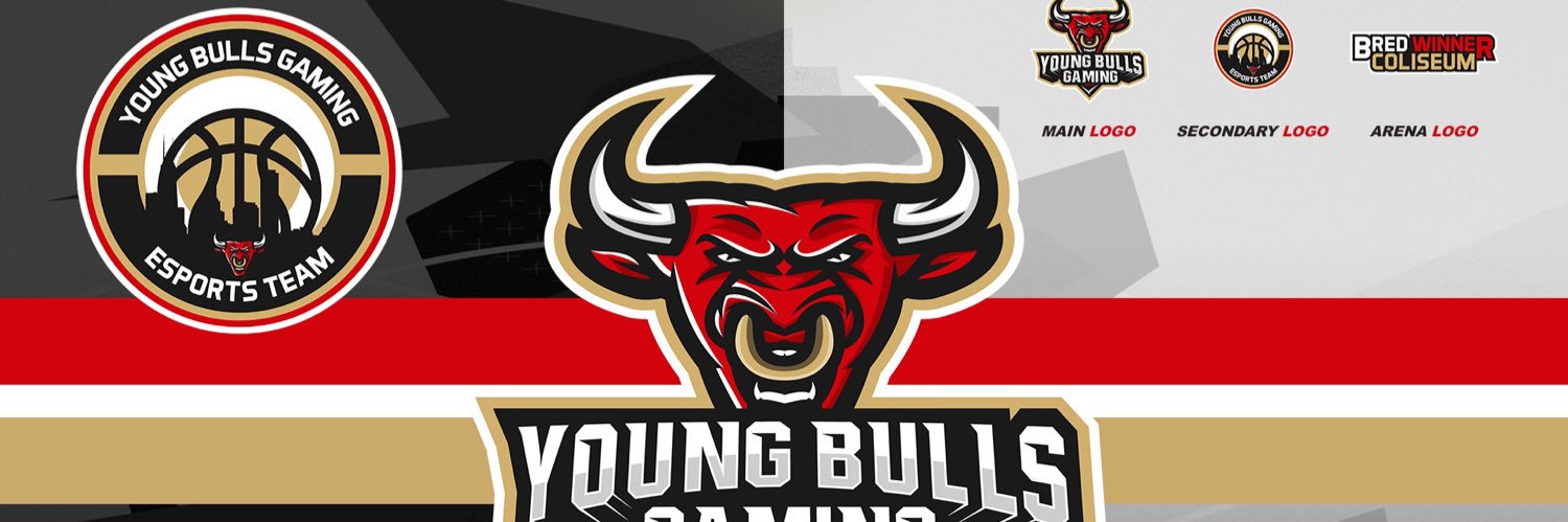 Young Bulls Gaming banner