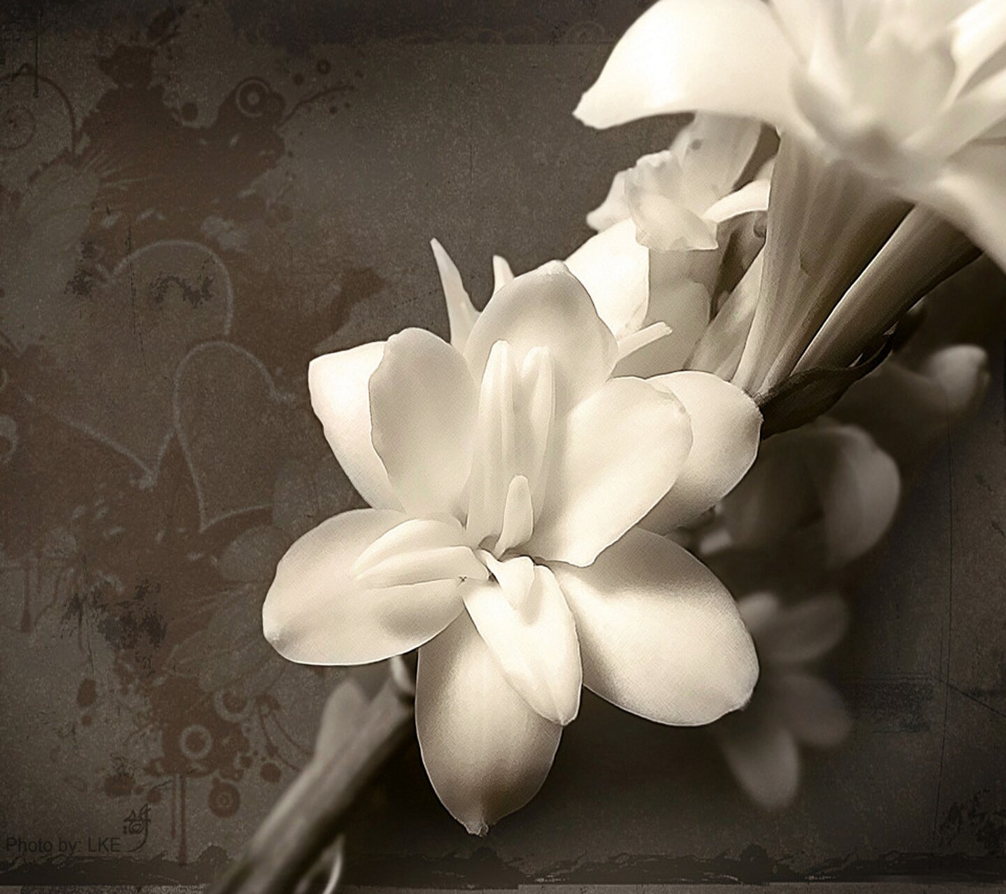 eertink25's profile banner image