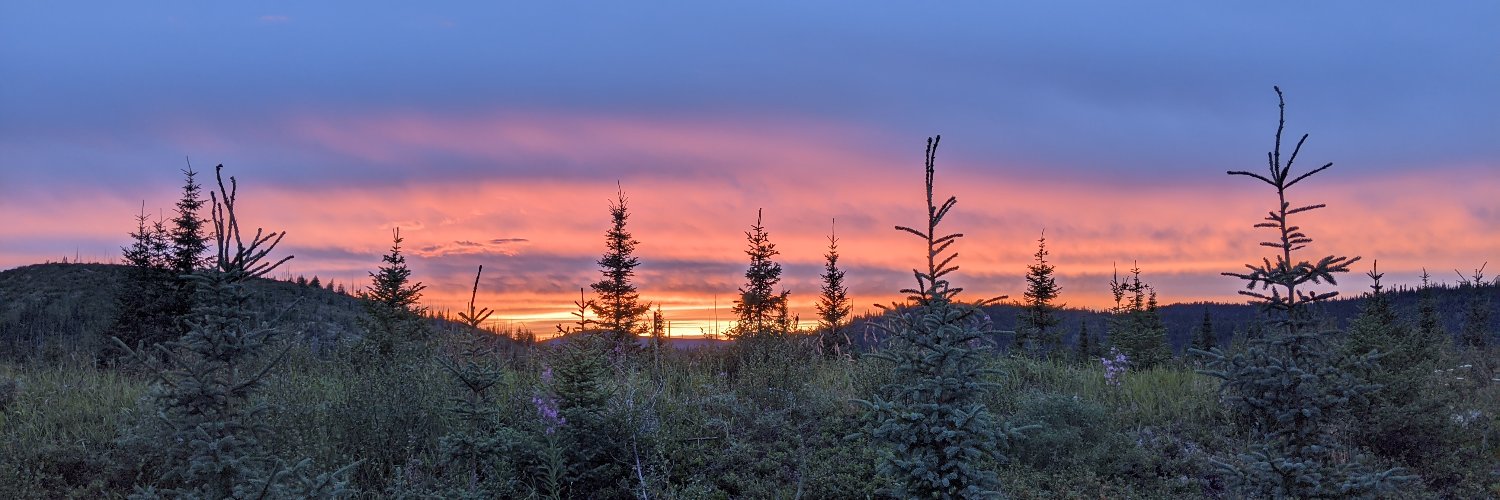 Mathieu Frigon banner