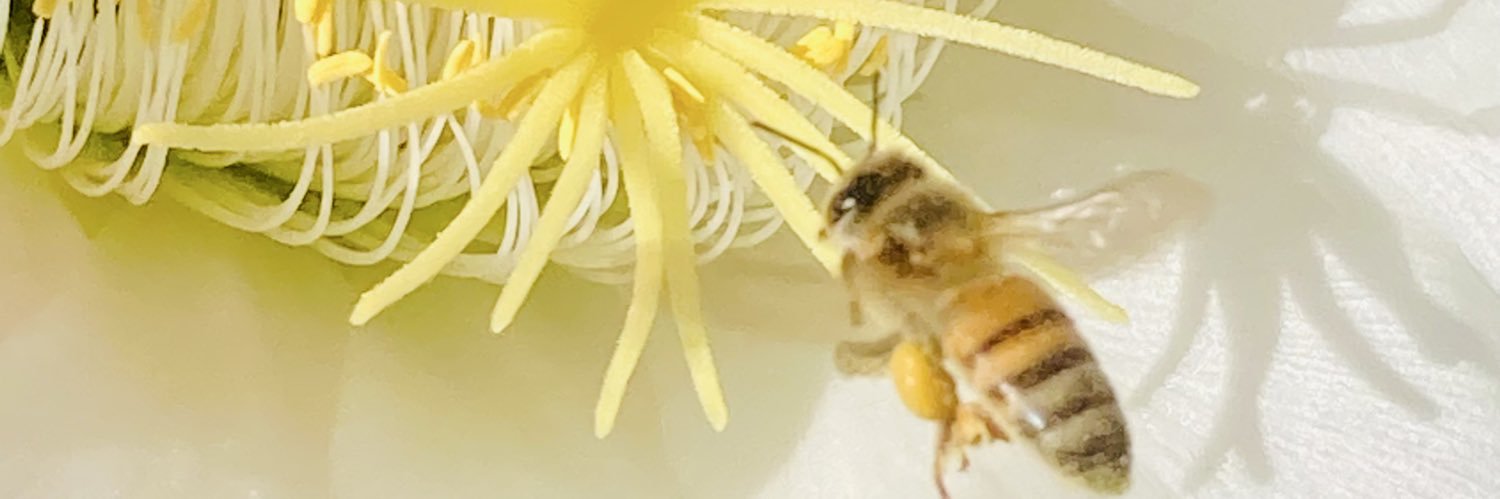 The Invisible Man banner