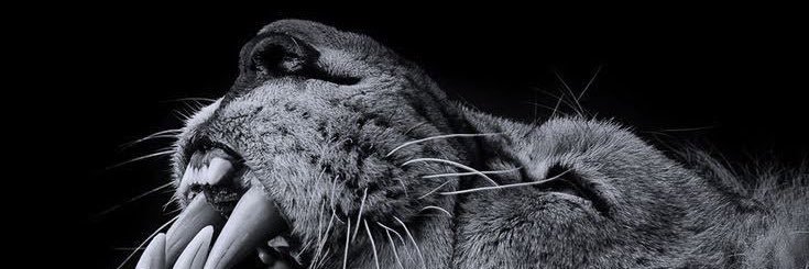 wande_28's profile banner image